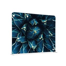 Showdown® Displays 150-150-DSI819 Raumteiler 150x150cm Kaktus bl 