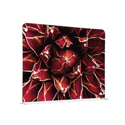 Showdown® Displays 150-150-DSI821 Raumteiler 150x150cm Kaktus rt 