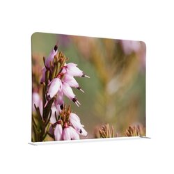 Showdown® Displays 150-150-DSI5 Raumteiler 150x150cm Pinke Blume Erica