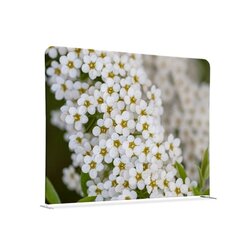 Showdown® Displays 150-150-DSI3 Raumteiler 150x150cm Weiße Blume Spirea
