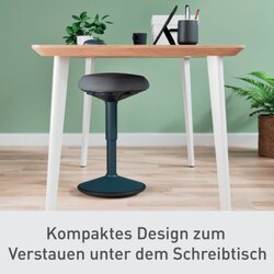 Leitz Sitzhocker Ergo Active