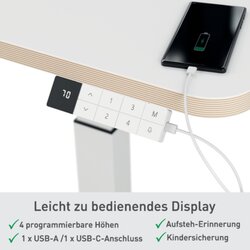 Leitz Schreibtisch Ergo 600 x 650-1.300 x 800 mm (B x H x T) elektronisch