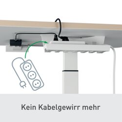 Leitz Schreibtisch Ergo 600 x 650-1.300 x 800 mm (B x H x T) elektronisch