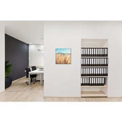 Showdown® Displays Dekobild 40 x 40 cm (B x H) Getreidefeld