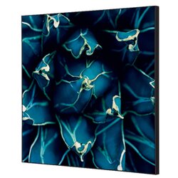 Showdown® Displays TFR22W400-I819 Wanddekoration Set 40x40 Kaktus bl