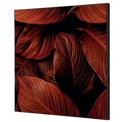 Showdown® Displays TFR22W400-I19 Wanddekoration Set 40x40 Blätter rt