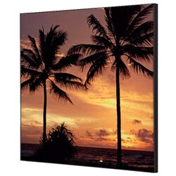 Showdown® Displays TFR22W400-I826 Wanddekoration Set 40x40 Palmen Sonnenuntergang