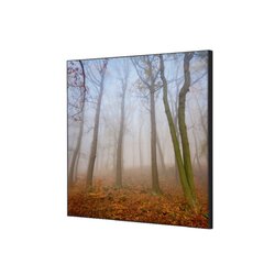 Showdown® Displays TFR22W400-I823 Wanddekoration Set 40x40 Herbstnebel