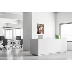 Showdown® Displays Dekobild 84,1 x 59,4 cm (B x H) Pinke Blume Erica