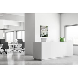 Showdown® Displays Dekobild 84,1 x 59,4 cm (B x H) Weiße Blume Spirea