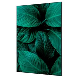 Showdown® Displays TFR22WA1-I4 Wanddekoration Set A1 Pinke Blume Erica