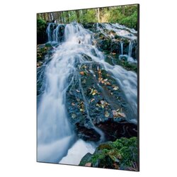 Showdown® Displays TFR22WA1-I828 Wanddekoration Set A1 Wald Sonnenaufgang