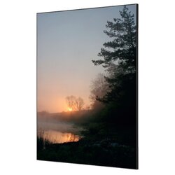 Showdown® Displays TFR22WA1-I829 Wanddekoration Set A1 Kirschblüte br