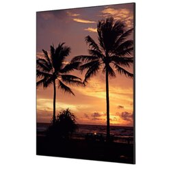 Showdown® Displays TFR22WA1-I826 Wanddekoration Set A1 Schiffe Meer