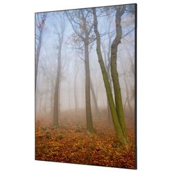 Showdown® Displays TFR22WA1-I823 Wanddekoration Set A1 Meeresfelsen