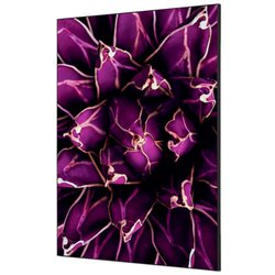 Showdown® Displays TFR22WA1-I822 Wanddekoration Set A1 Herbstnebel