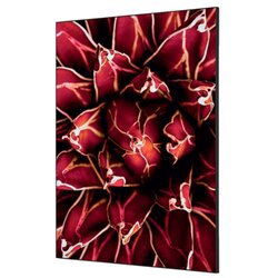 Showdown® Displays TFR22WA1-I821 Wanddekoration Set A1 Kaktus vi