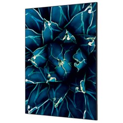 Showdown® Displays TFR22WA1-I819 Wanddekoration Set A1 Kaktus gn