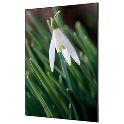 Showdown® Displays TFR22WA1-I24 Wanddekoration Set A1 Sonne und Vögel