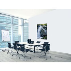Showdown® Displays Dekobild 84,1 x 59,4 cm (B x H) Wasserfallwald