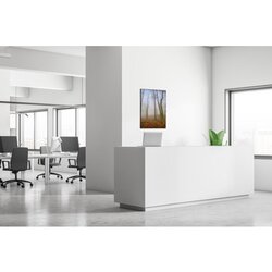 Showdown® Displays Dekobild 84,1 x 59,4 cm (B x H) Herbstnebel