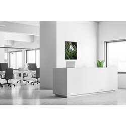Showdown® Displays Dekobild 84,1 x 59,4 cm (B x H) Weiße Blume Schneeglöckchen