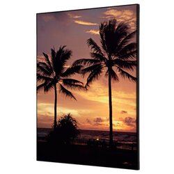 Showdown® Displays TFR22WA2-I826 Wanddekoration Set A2 Palmen Sonnenuntergang