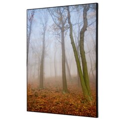 Showdown® Displays TFR22WA2-I823 Wanddekoration Set A2 Herbstnebel