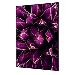 Showdown® Displays TFR22WA2-I822 Wanddekoration Set A2 Kaktus vi