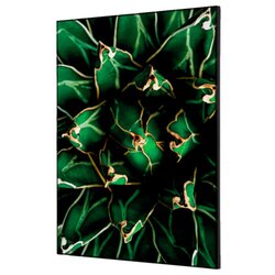Showdown® Displays TFR22WA2-I820 Wanddekoration Set A2 Kaktus gn