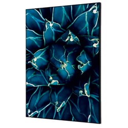 Showdown® Displays TFR22WA2-I819 Wanddekoration Set A2 Kaktus bl