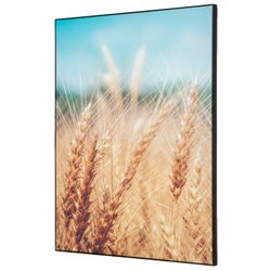 Showdown® Displays TFR22WA2-I814 Wanddekoration Set A2 Getreidefeld