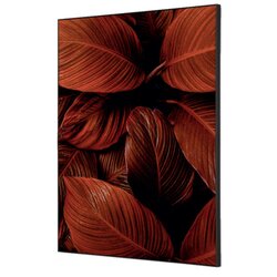 Showdown® Displays TFR22WA2-I19 Wanddekoration Set A2 Blätter rt