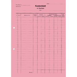 SoldanPlus K440 Kostenblatt A4 rt 100St 