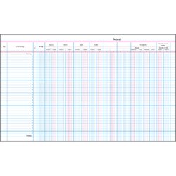 SoldanPlus 112281 Anwaltsjournal 50Doppelseiten 