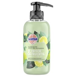 Sagrotan 3277369 Flüssigseife Frisch/Fruchtig 300ml