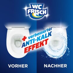 WC frisch WC-Reiniger Kraft Aktiv