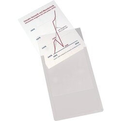 EICHNER 9218-01819-11 Sichttasche Magnet A4 gr 10St 