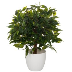 hjh OFFICE 871061 Kunstpflanze Ficus 