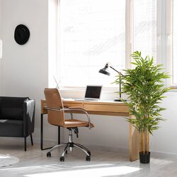 hjh OFFICE Zimmerpflanze Bambus II