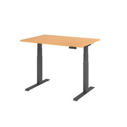 Hammerbacher VXDKB12/6/G  Schreibtisch elektrisch 120x80cm gp/buche