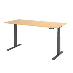 Hammerbacher VXDKB19/3/G  Schreibtisch elektrisch 180x80cm gp/ahorn
