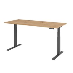 Hammerbacher VXDKB19/R/G  Schreibtisch elektrisch 180x80cm gp/asteiche