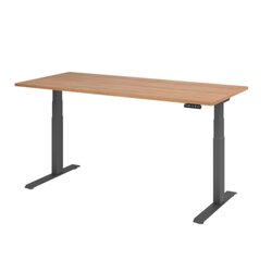 Hammerbacher VXDKB19/N/G  Schreibtisch elektrisch 180x80cm gp/nussbaum