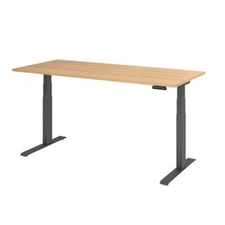 Hammerbacher VXDKB19/E/G  Schreibtisch elektrisch 180x80cm gp/eiche
