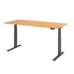 Hammerbacher VXDKB19/6/G  Schreibtisch elektrisch 180x80cm gp/buche