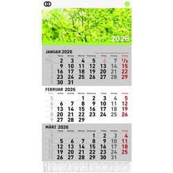 Soennecken 5102-26 Dreimonatswandkalender oeco 2026