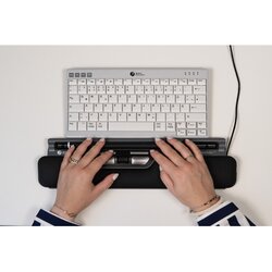 BakkerElkhuizen Optische PC Maus ErgoSlider Plus ergonomisch