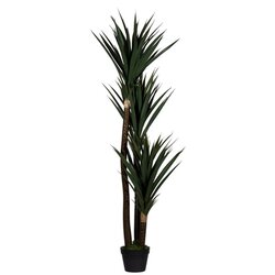 Paperflow PAYUC150 Kunstpflanze Yucca 150cm 