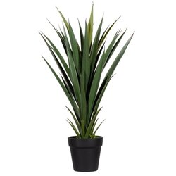 Paperflow PAYUC60 Kunstpflanze Yucca 60cm 